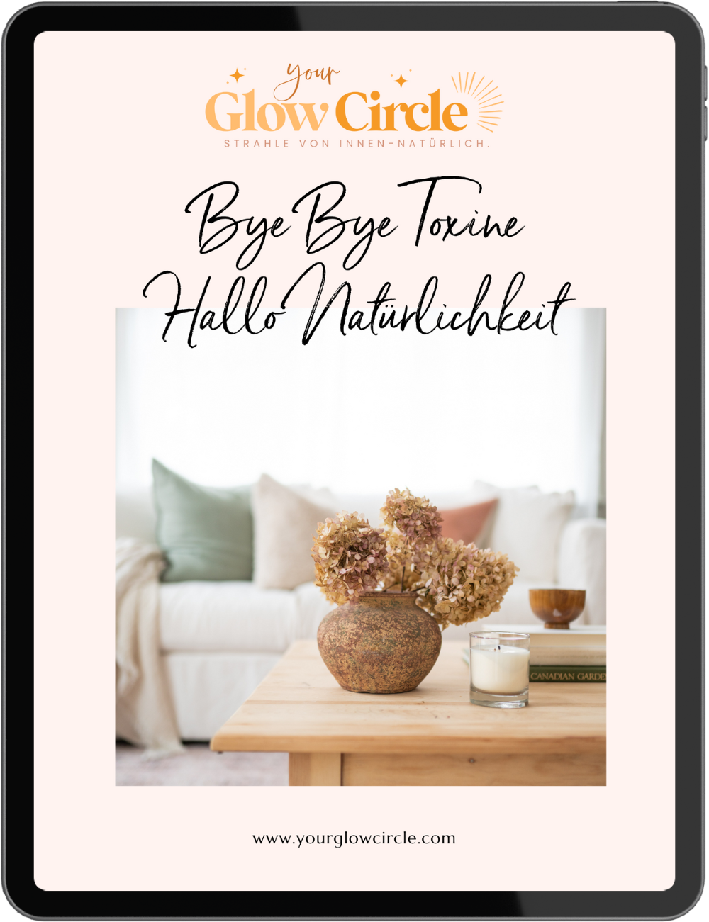 Mockup eBook toxinfreie Reinigung